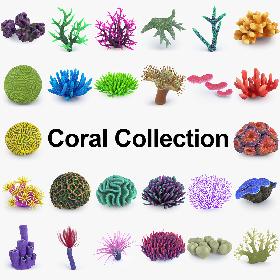 Coral Reef Collection model